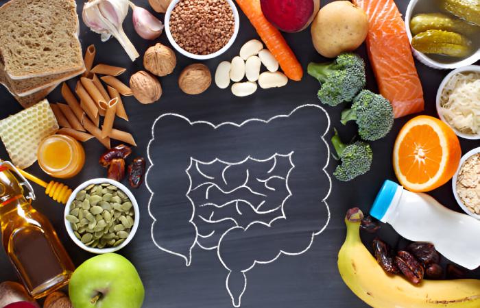 Gut health Write For Us